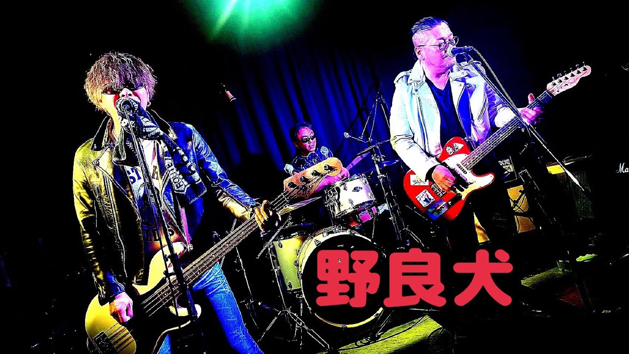2026年2月7日(土)小樽 A.LIVE   10thANNIVERSARY SPECIAL LIVE 野良犬
