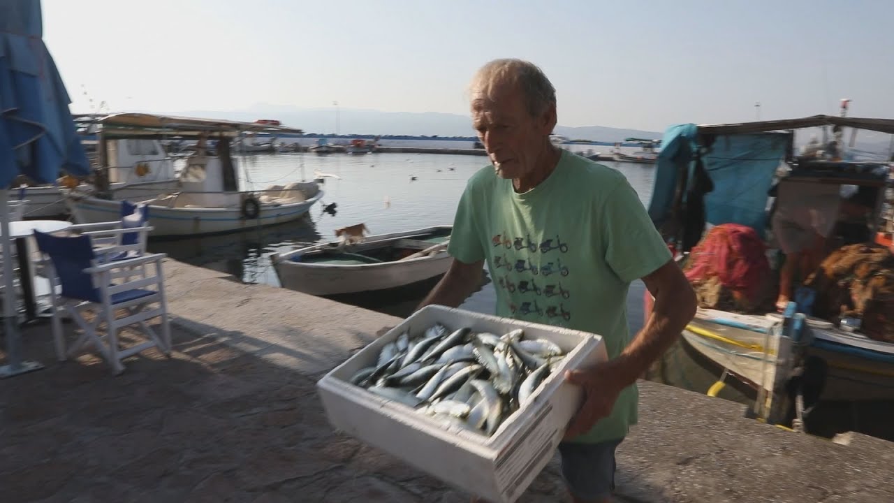 Σαρδέλα  Καλλονής το πρώτο αλιευτικό προϊόν της Ελλάδας