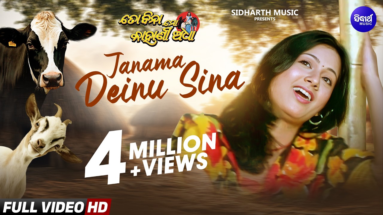 Janama Deinu Sina - Sad  Film Song | Nibedita | Anubhav,Archita | ଜନମ ଦେଇନୁ ସିନା | Sidharth