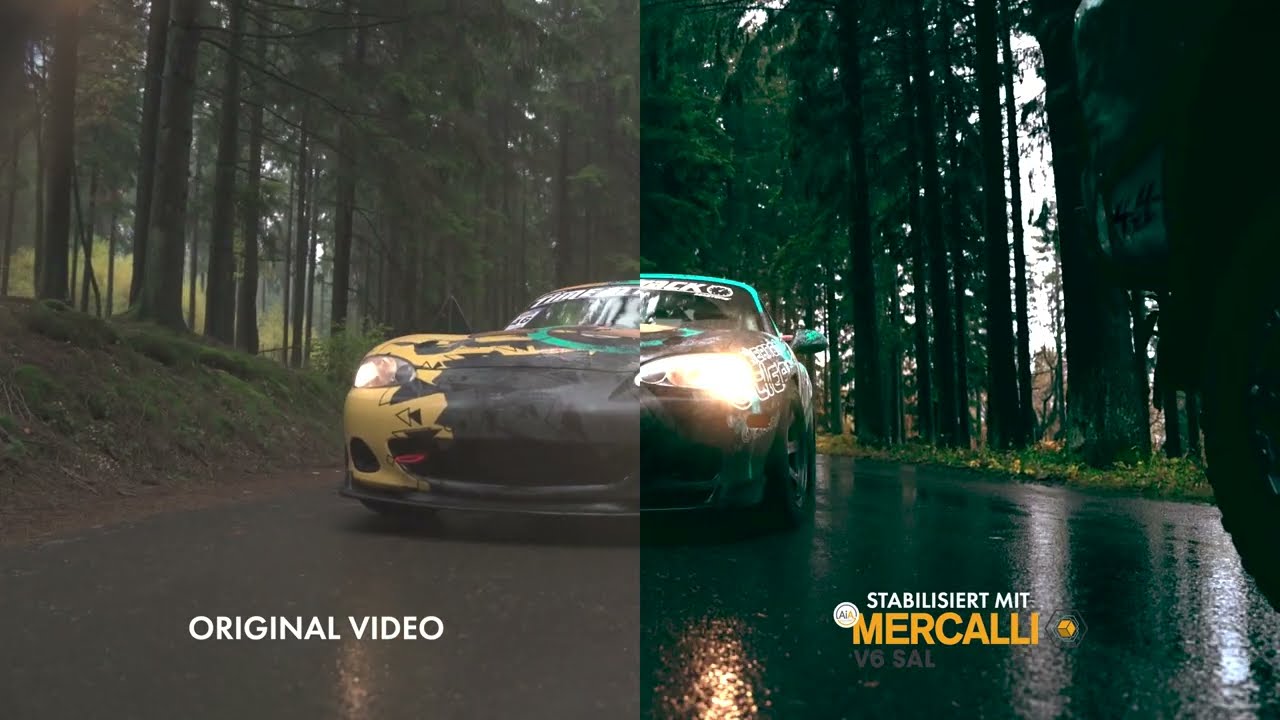 proDAD Mercalli V6 Trailer deutsch