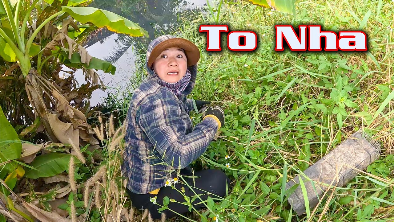 Tháng Khó Khăn Nhất Của Năm # CSBR # 457