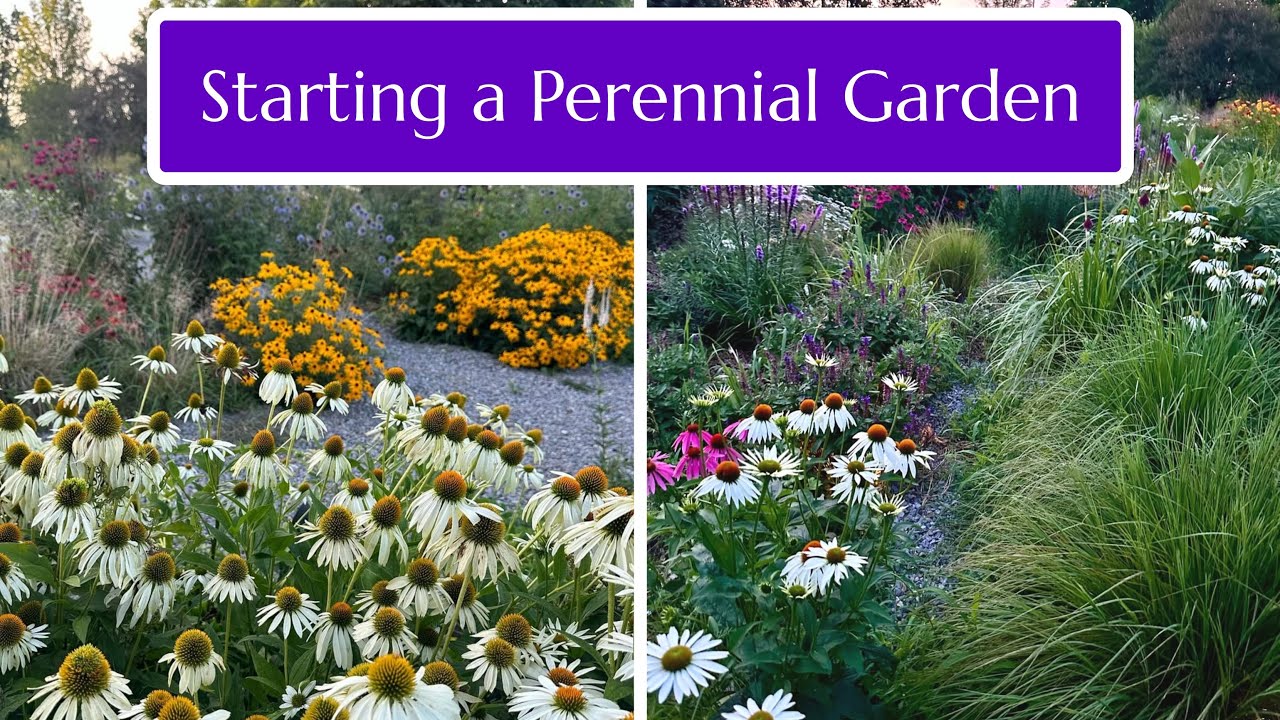 Starting a Perennial Garden - Loads of Inspiration!