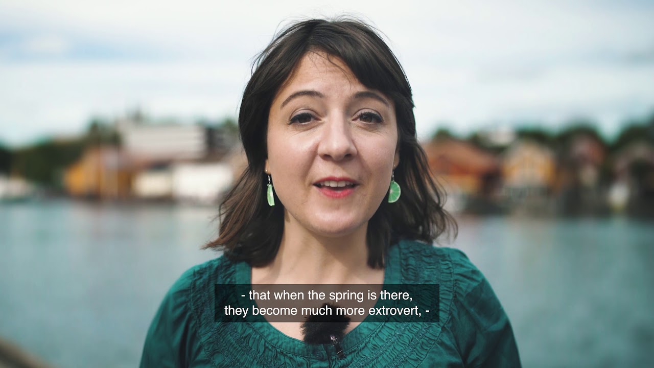4 steps to understand Norwegians - Part 1: 