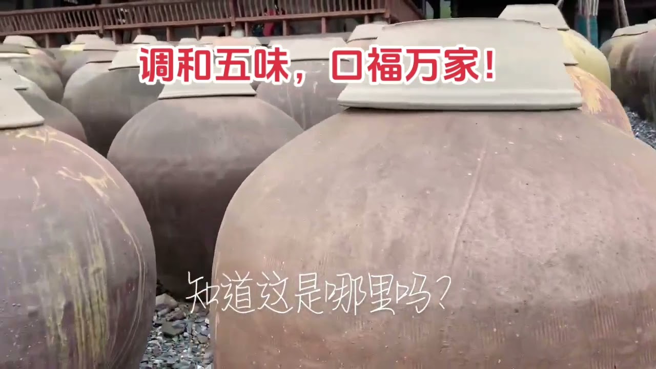 芳华珍味诞风流！#现场实拍