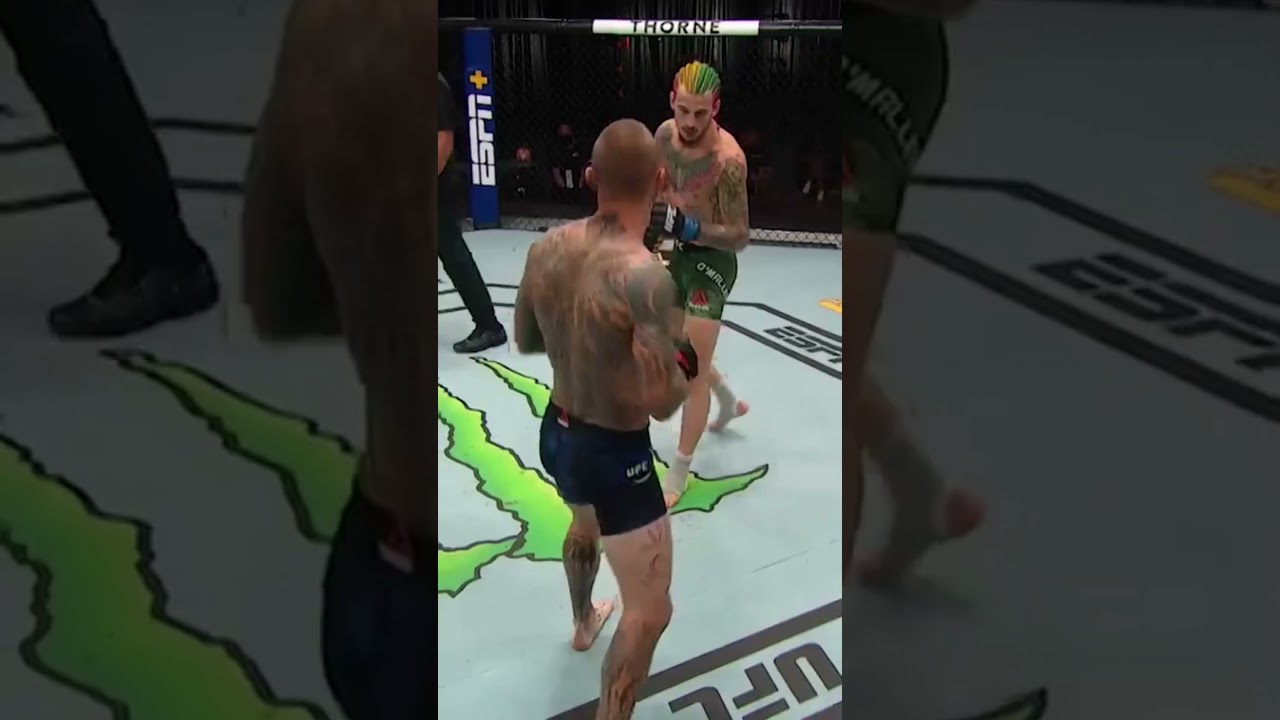 Everything at UFC 324 will be tested.