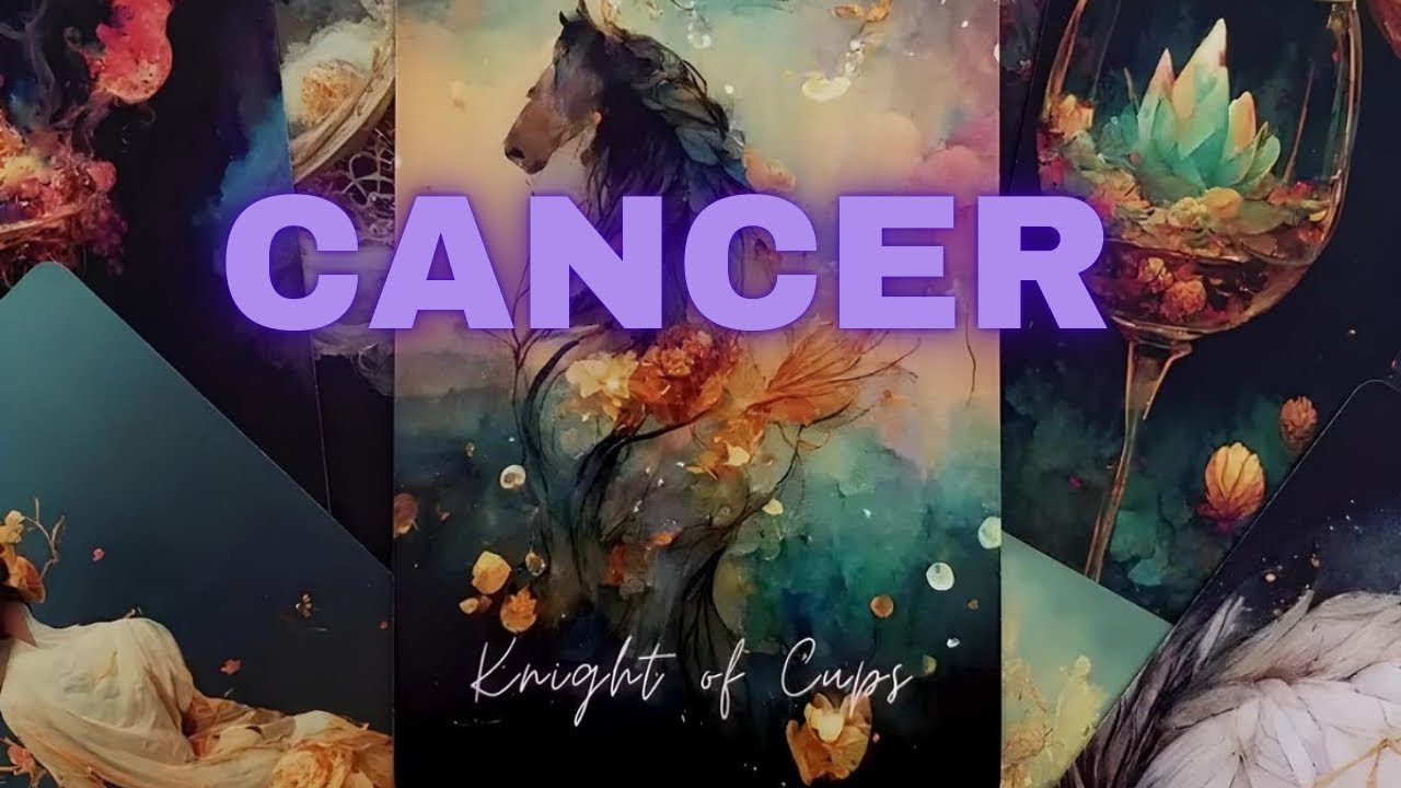 CANCER 🌹THIS PERSON LOVES YOU VERY MUCH🫢❤️💯THEY'RE GOING TO CHASE AFTER YOU REGARDLESS💖FEB 2026