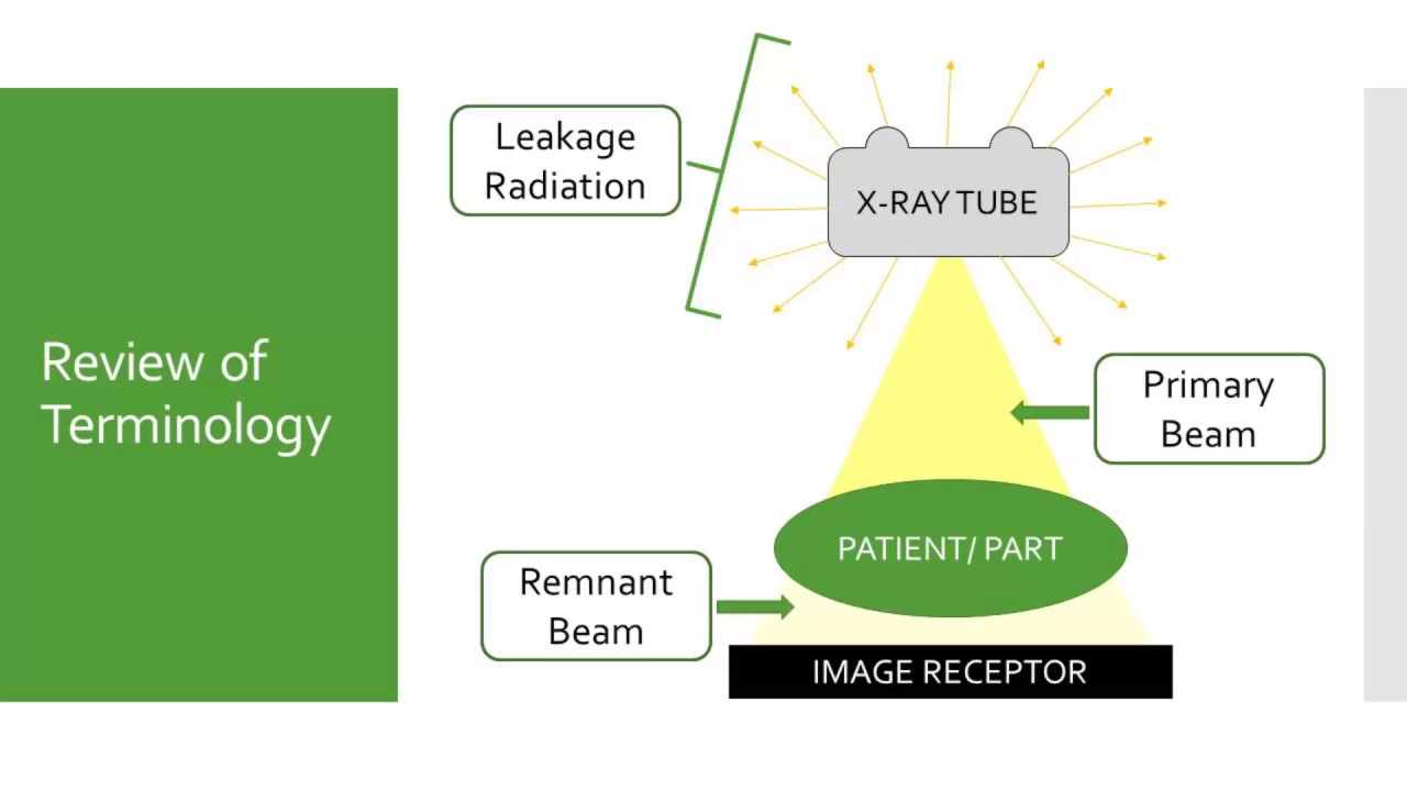 Radiation Safety Regulations