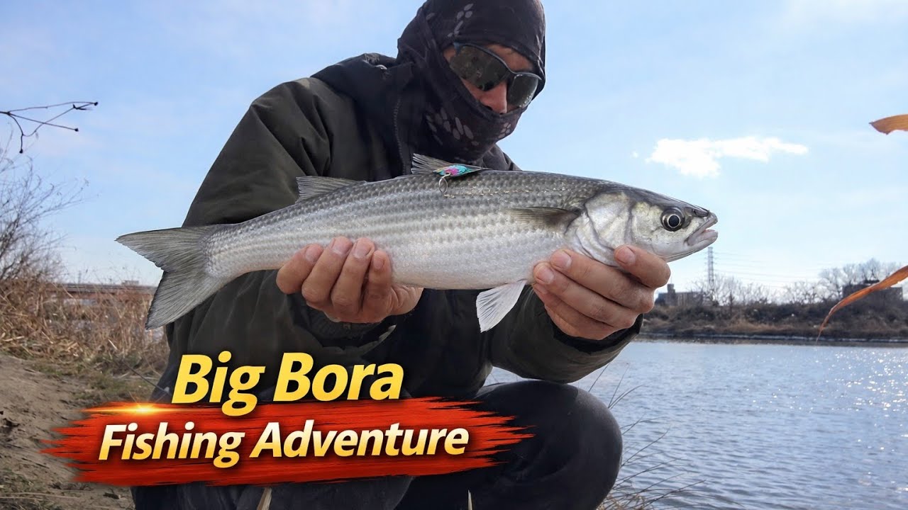 A Day Catching Big Bora Fish