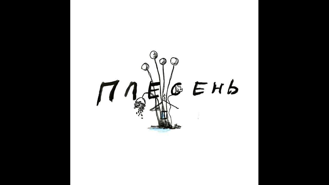 Наблюдатели - Плесень (lyrics)