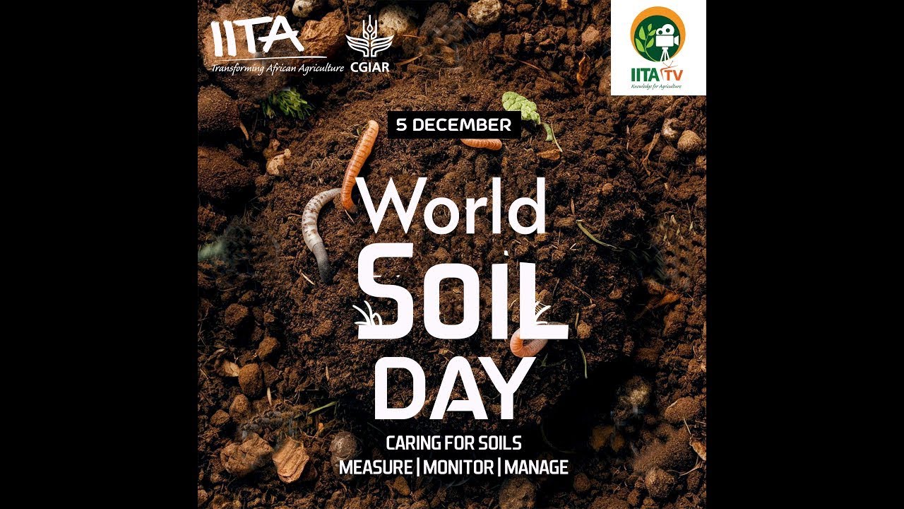 World Soil Day