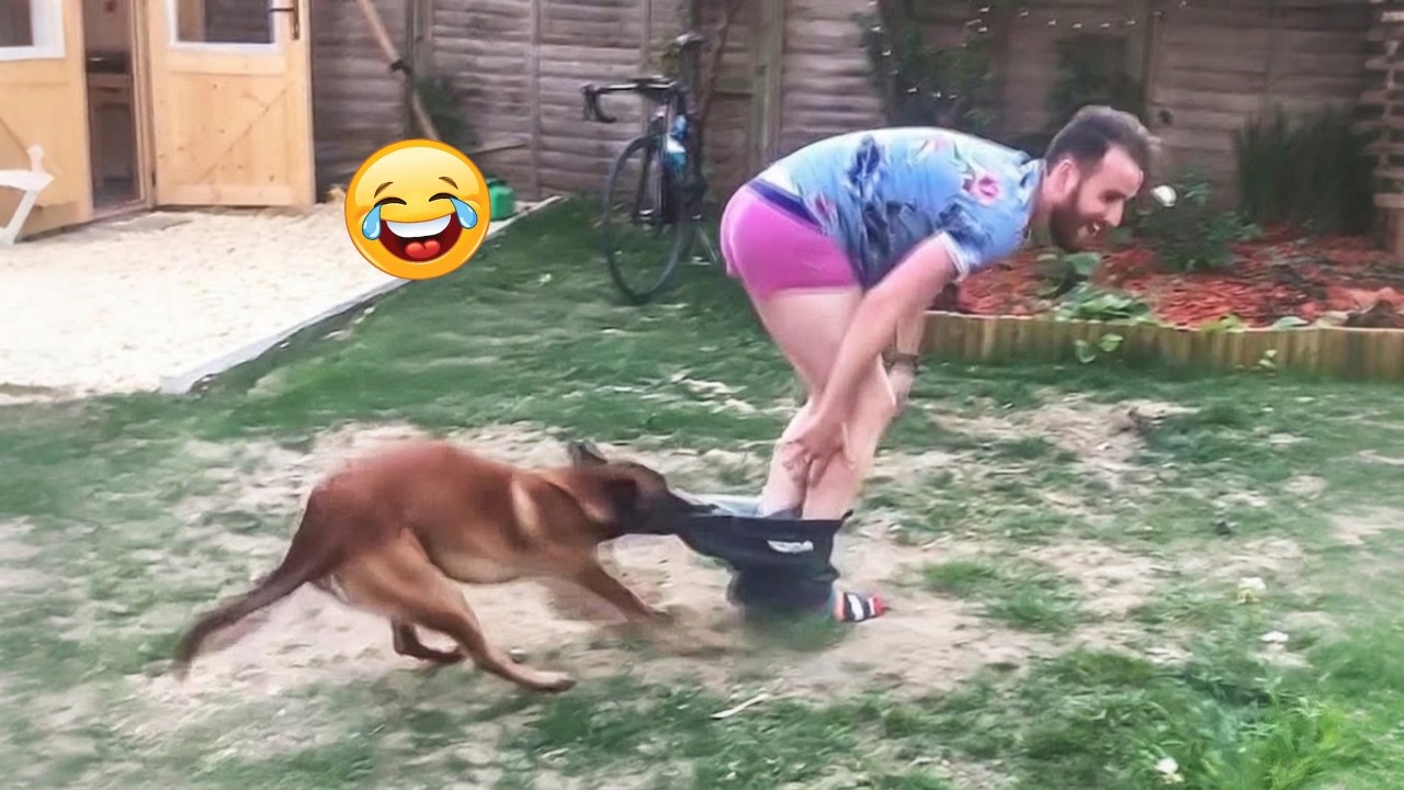Try Not to Laugh 2026 😂 Top 100 Memes, Fails & Pranks Part 15