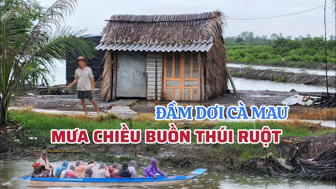 Mưa Chiều Buồn Thúi Ruột Ở Đầm Dơi Cà Mau, Giọt Mưa Làm Đường Làng Vắng Bóng Người Hiu Hắt 2025