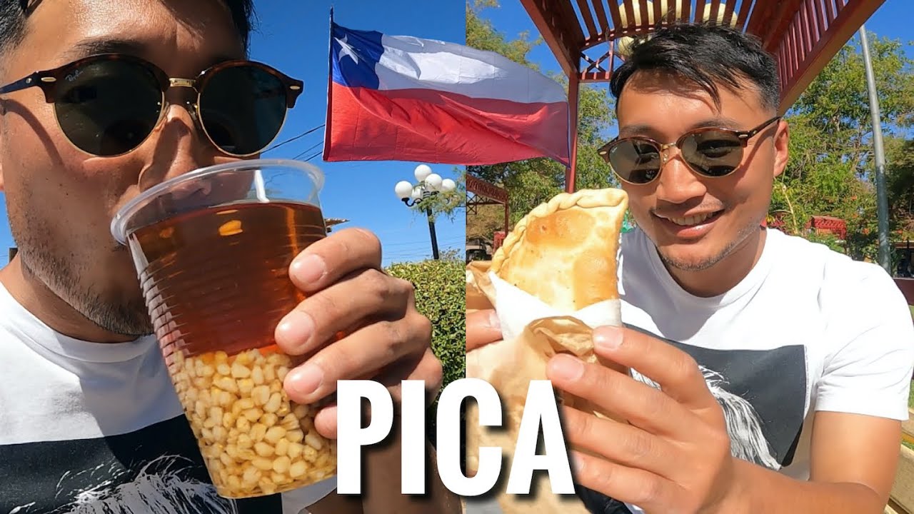 Probé comida y bebida TÍPICA CHILENA en Pica! | Japonés reacciona a Mote con Huesillo 🦖🦷