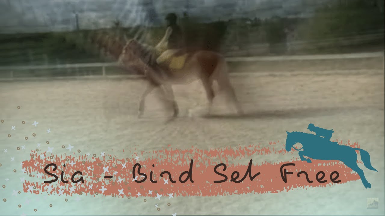 Sia - Bird Set Free / конный клип  by Best Marisha