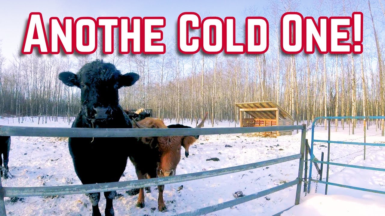 Last Cold Day before a Nice Break!