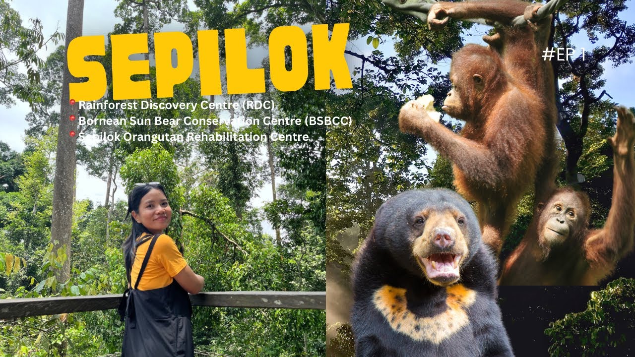 3 best nature attraction in Sepilok, Sandakan
