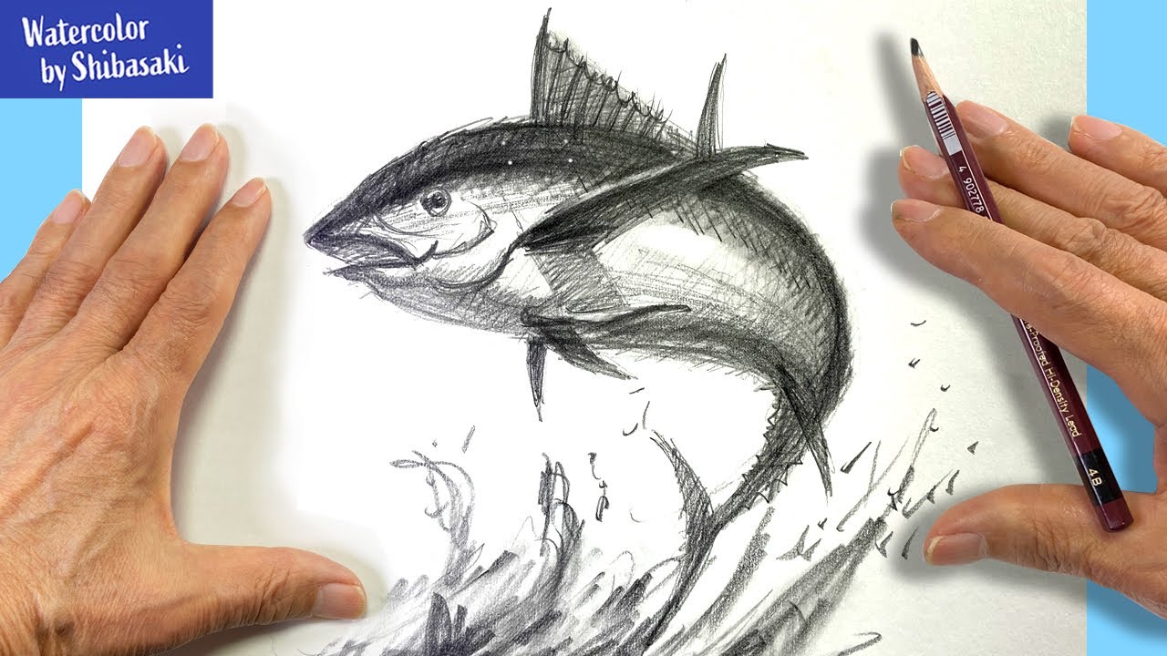 [Eng sub] How to draw a Tuna with a pencil for Beginners | Step by Step  #StayHome #WithMe