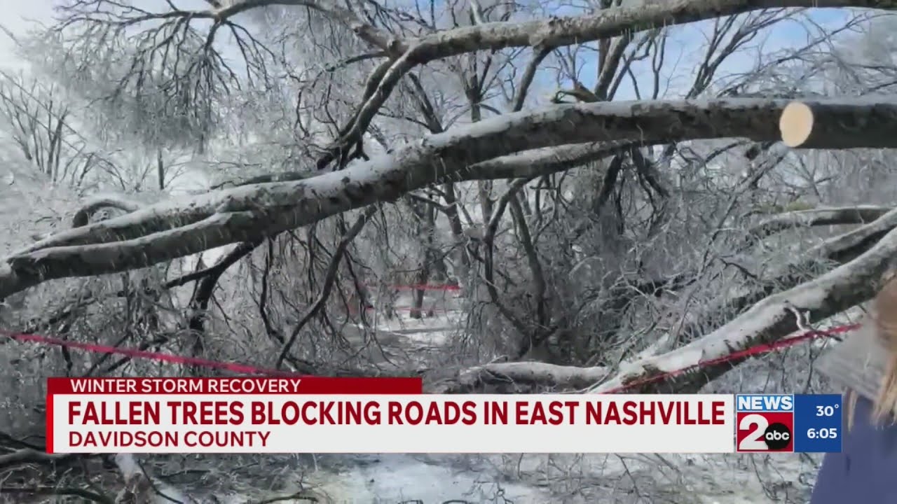 Fallen trees blocking roads in East Nashville, TN