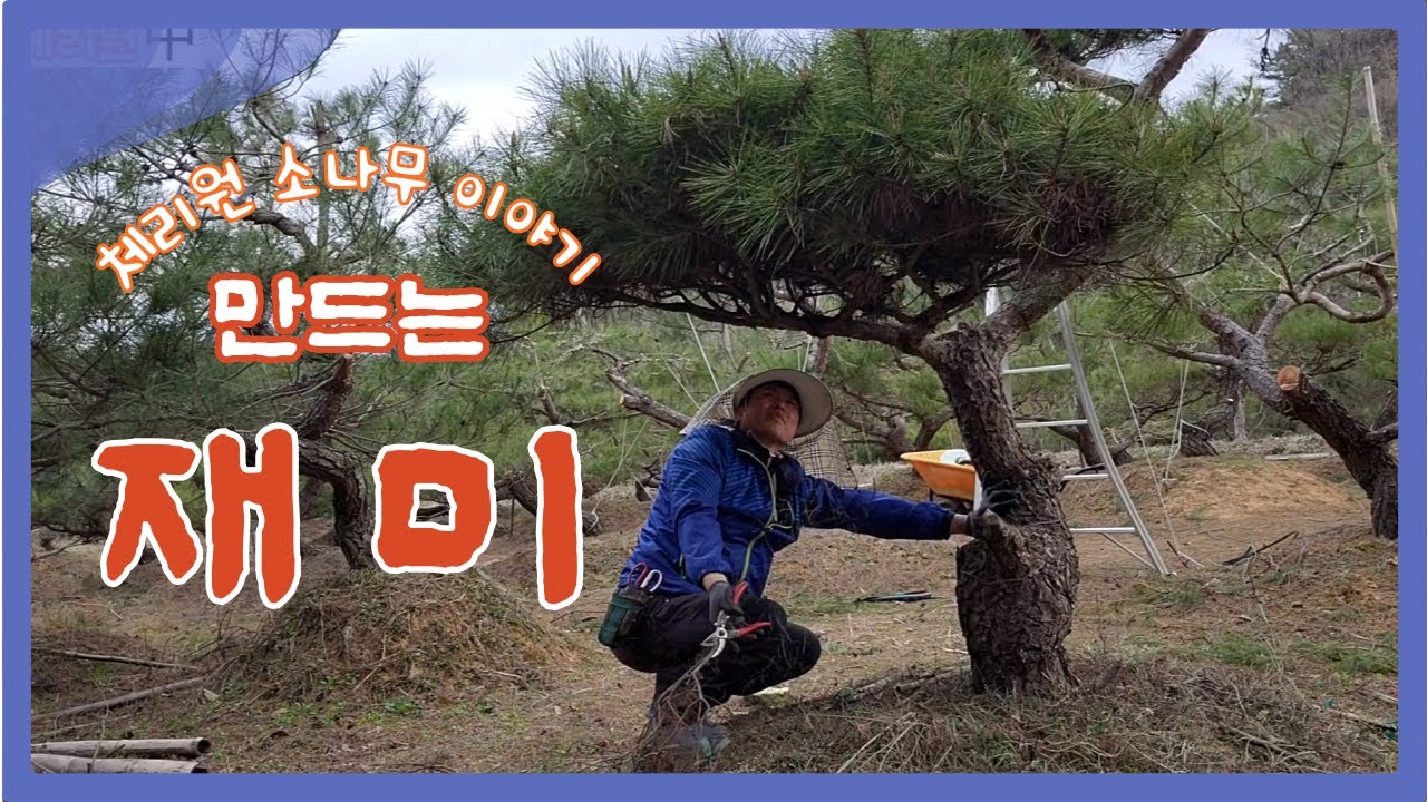 봄기운이 올라 오는 나무, 만드는 재미.