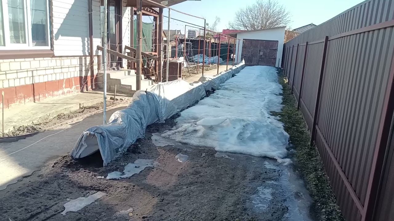 Початок сезону 2026 на винограднику. Київська обл.