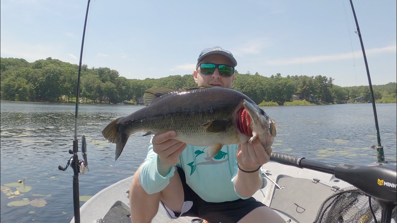Swimbait Chronicles: The Reality of Throwing Big Baits
