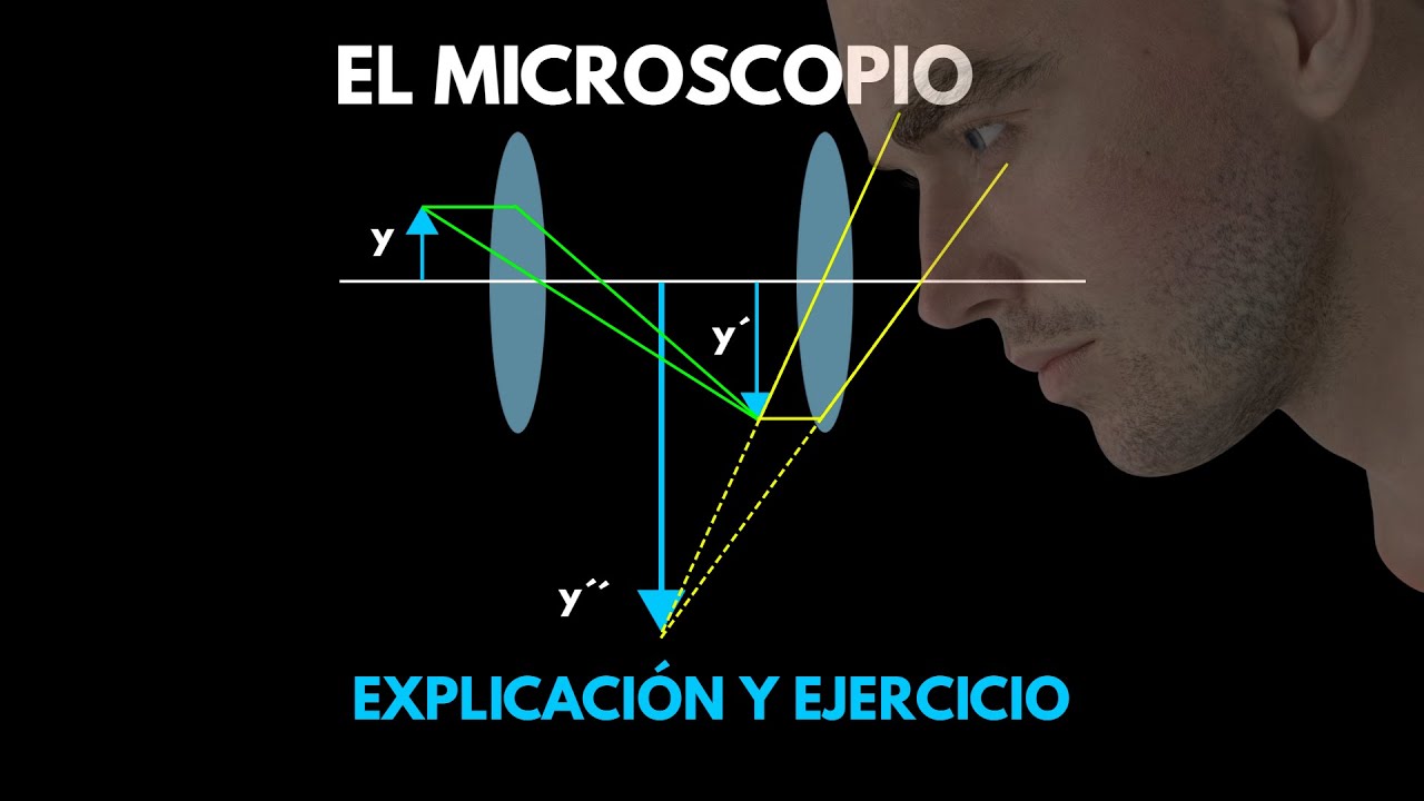 EL MICROSCOPIO: explicación y ejercicio resuelto.
