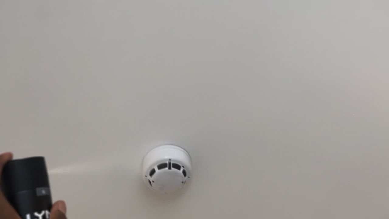 I triggered the fire alarm