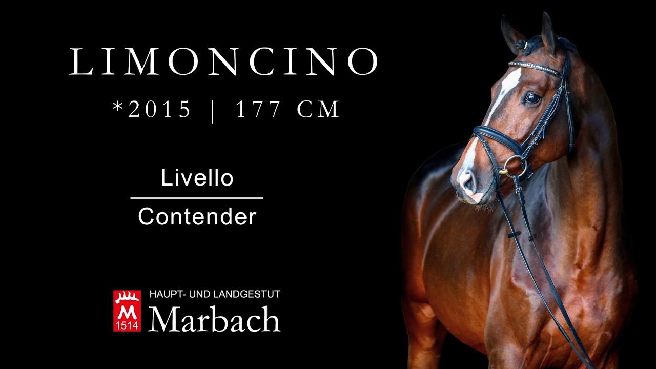 Limoncino *2015 v. Livello - Contender