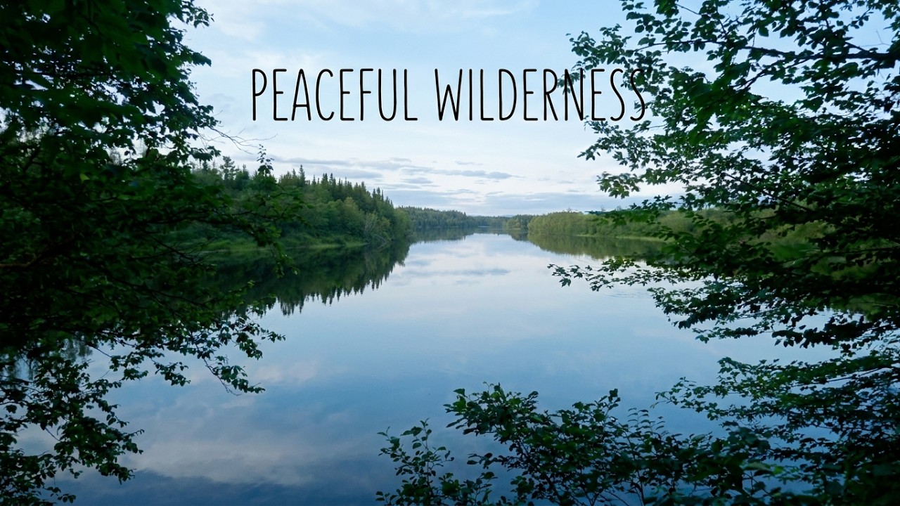 Peaceful  wilderness