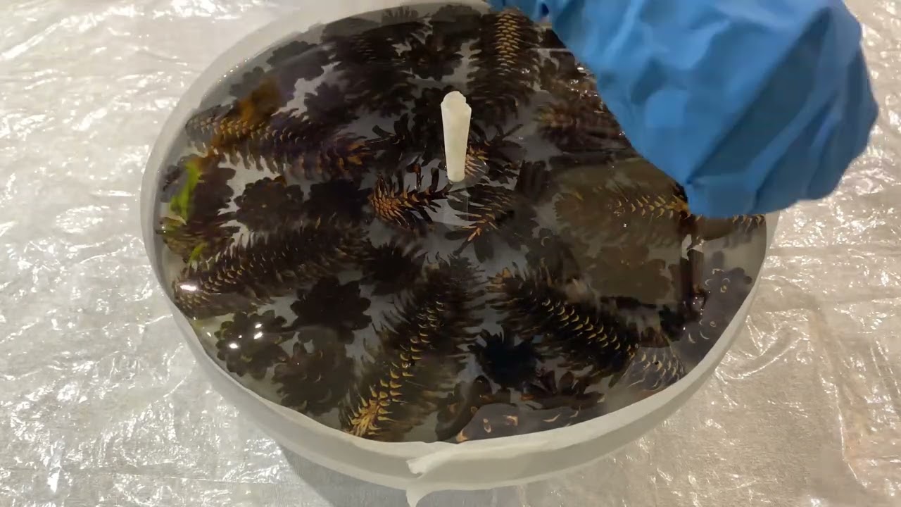 Часы из эпоксидной смолы с шишками. Часть 2.