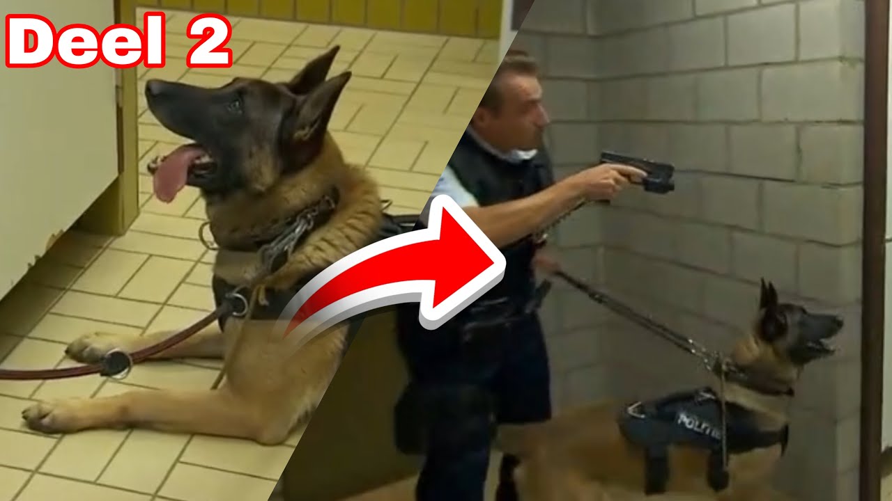 De Buurtpolitie | Koen & Barry in gevaar?! Deel 2