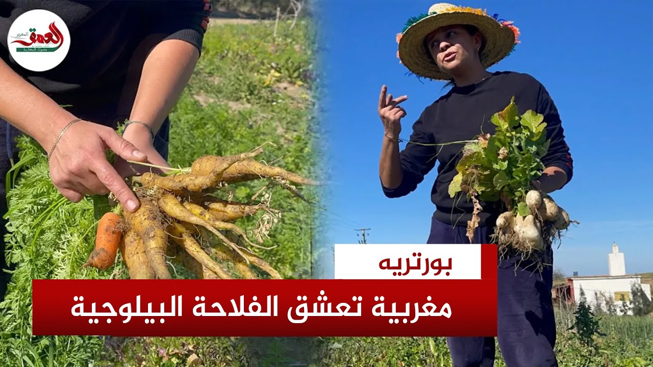 سلمى.. شابة مغربية نواحي تيفلت تعشق الأرض وتحترم الطبيعة وتزرع بدون أدوية
