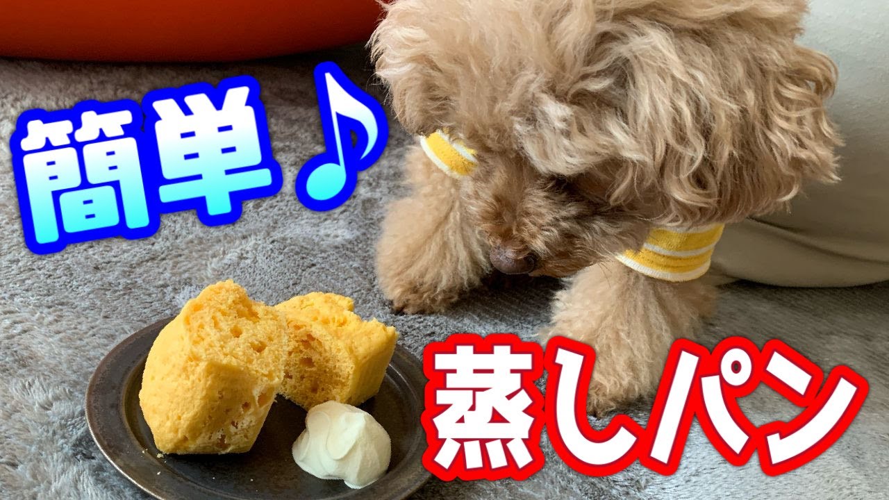 【愛犬のおやつ】トイプードルも食べれる蒸しケーキの作り方。