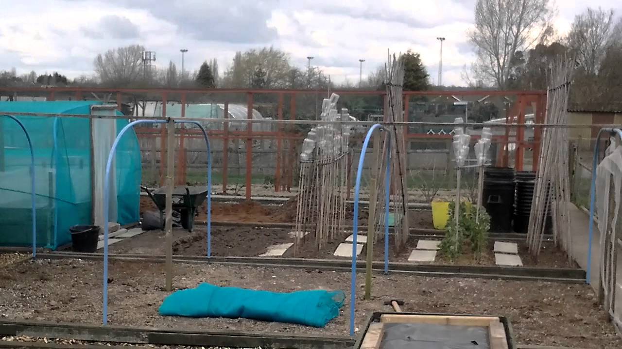Moving The Brassica Cage To The Next Bed & Adding Ingredients And Worms To The New Compost Bin (103)