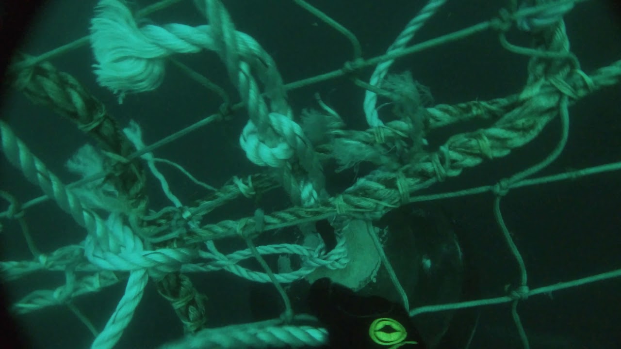 Trabajos de buceo en piscicultura CHILE