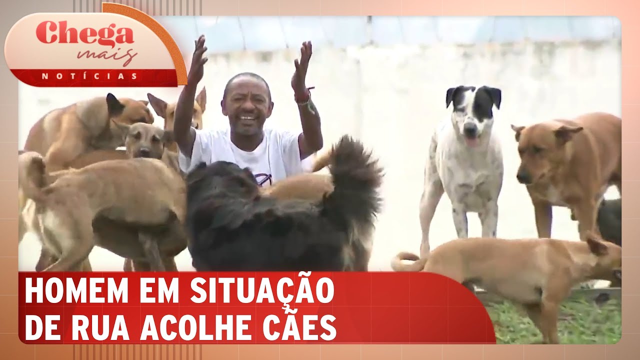 Homem em situação de rua acolhe cães abandonados em SP | Chega Mais Notícias (05/11/24)