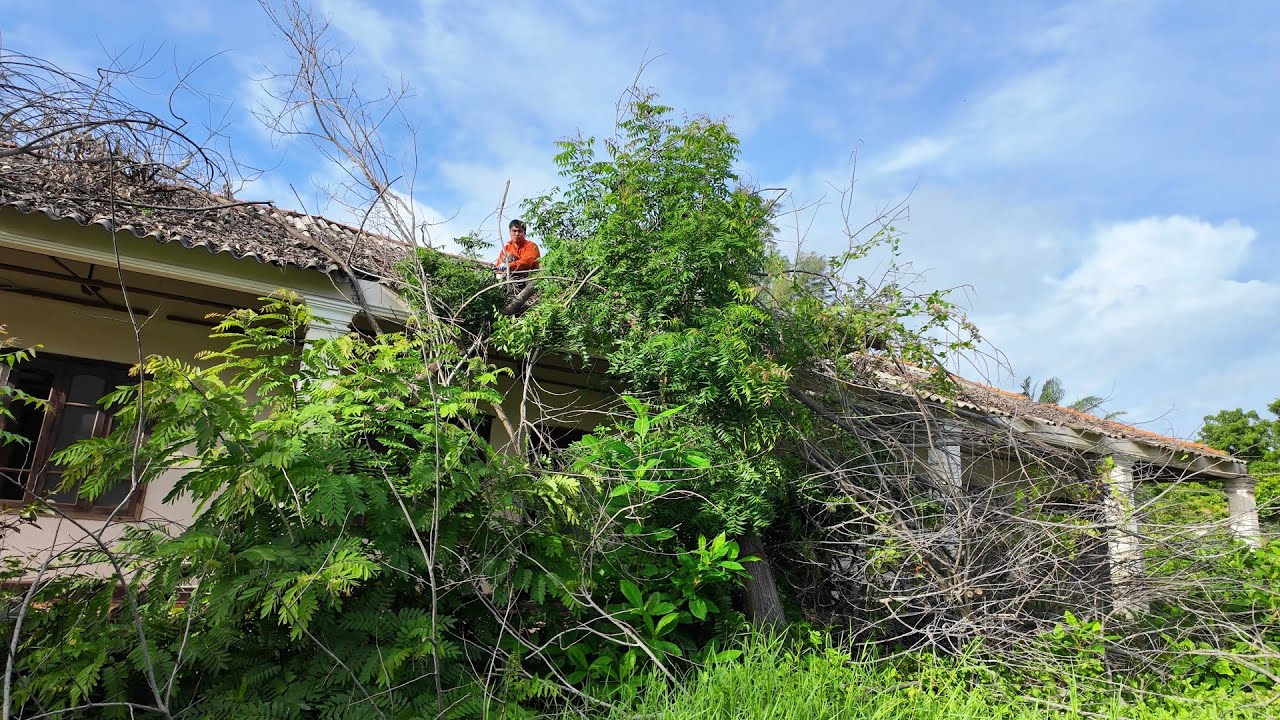 He Climbed a Rotten Roof to Save This Abandoned House
