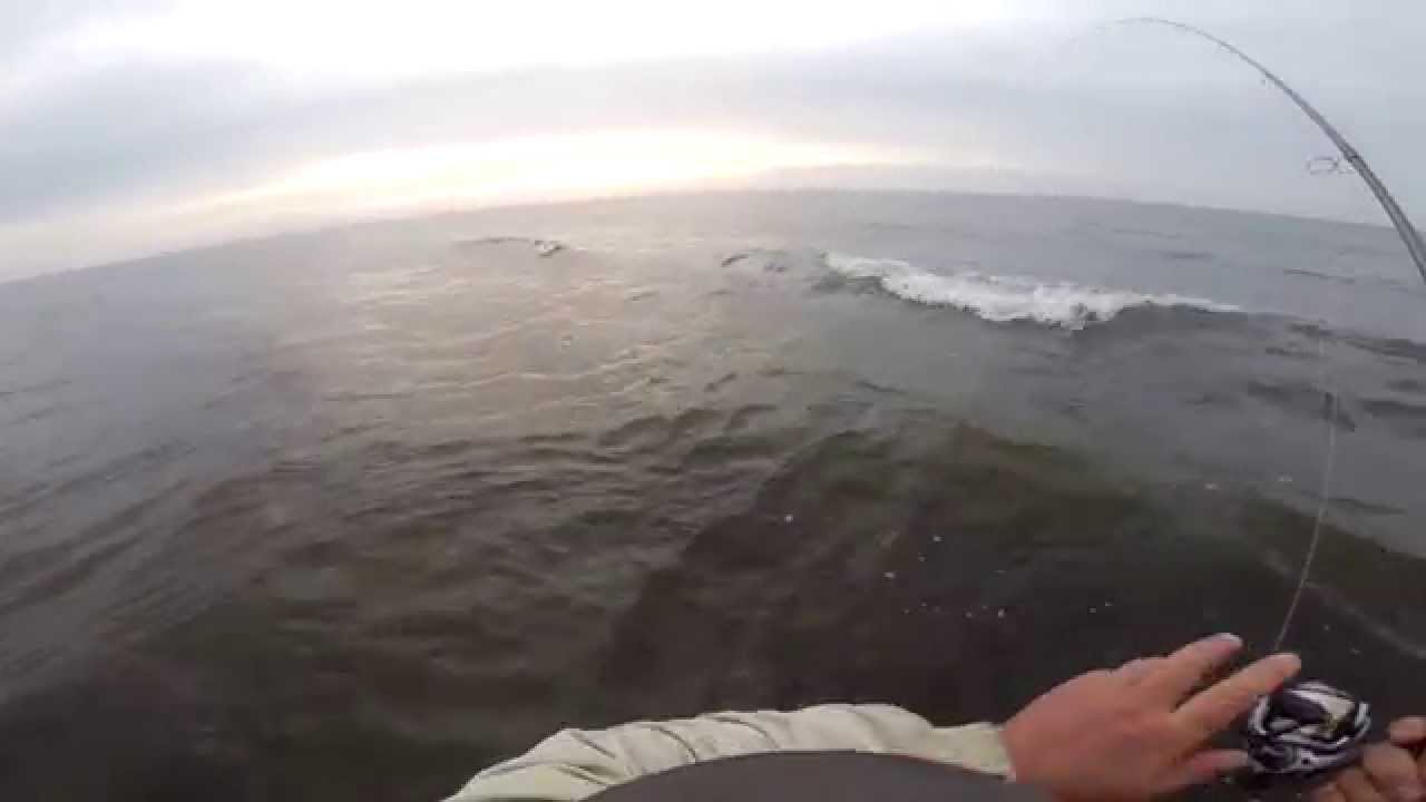 Kustfiske Havs&ouml;ring &Ouml;land 2014