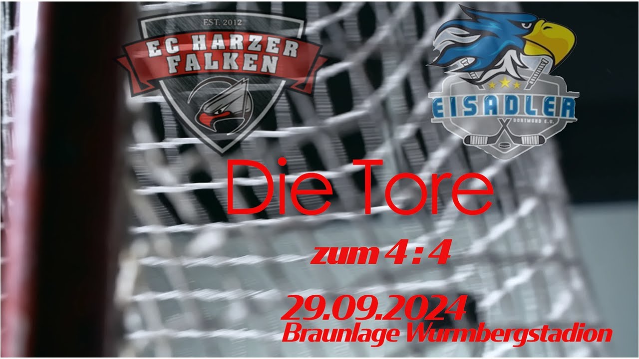 Die Tore Harzer Falken Eisadler Dortmund