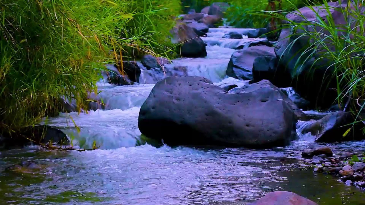 Stay Focused with Mountain River Flowing Sounds, Calm Water White Noise Background