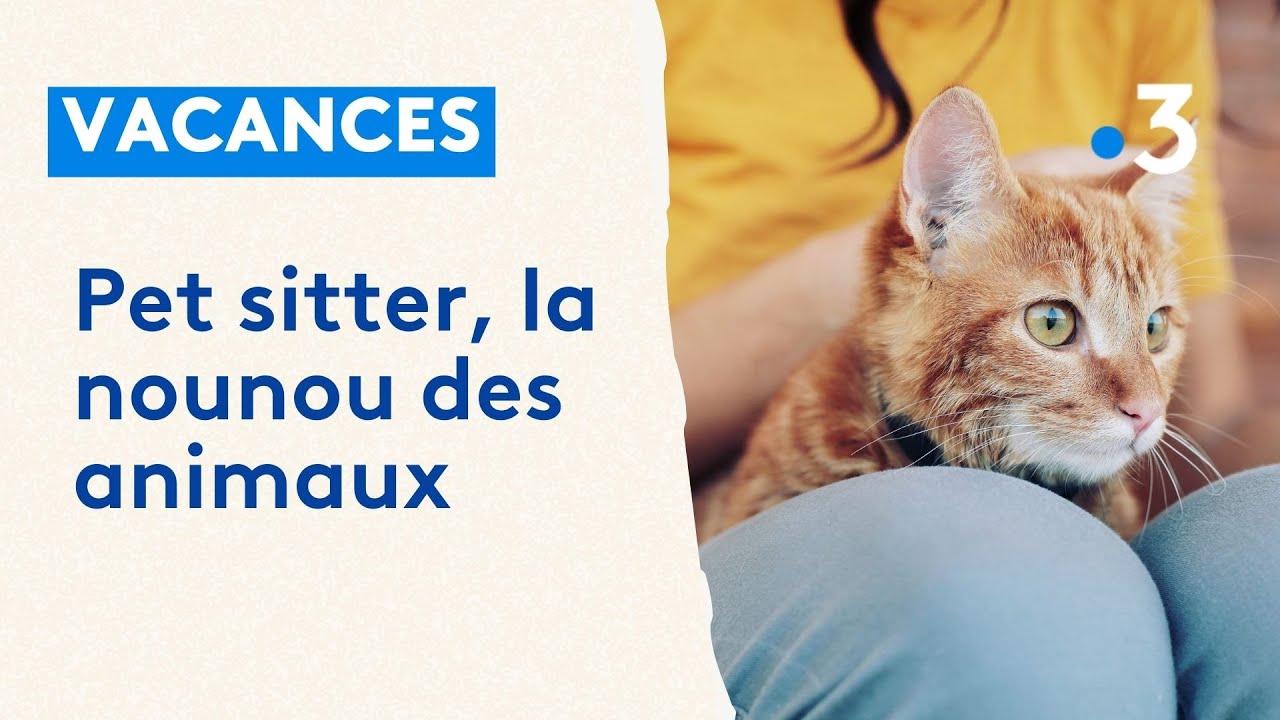 Faire garder son animal pendant les vacances, c'est possible grâce un pet sitter
