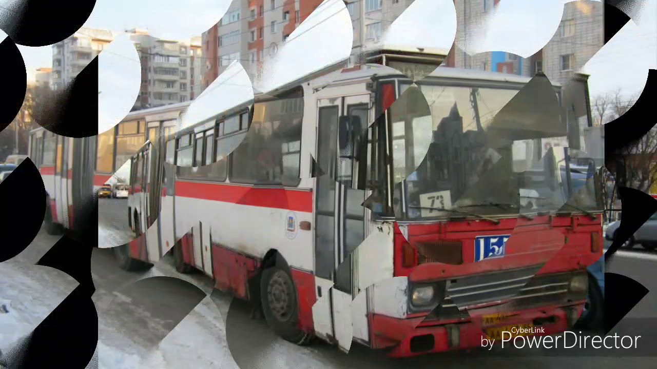 Списанные омские автобусы. Они навсегда ушли в историю.