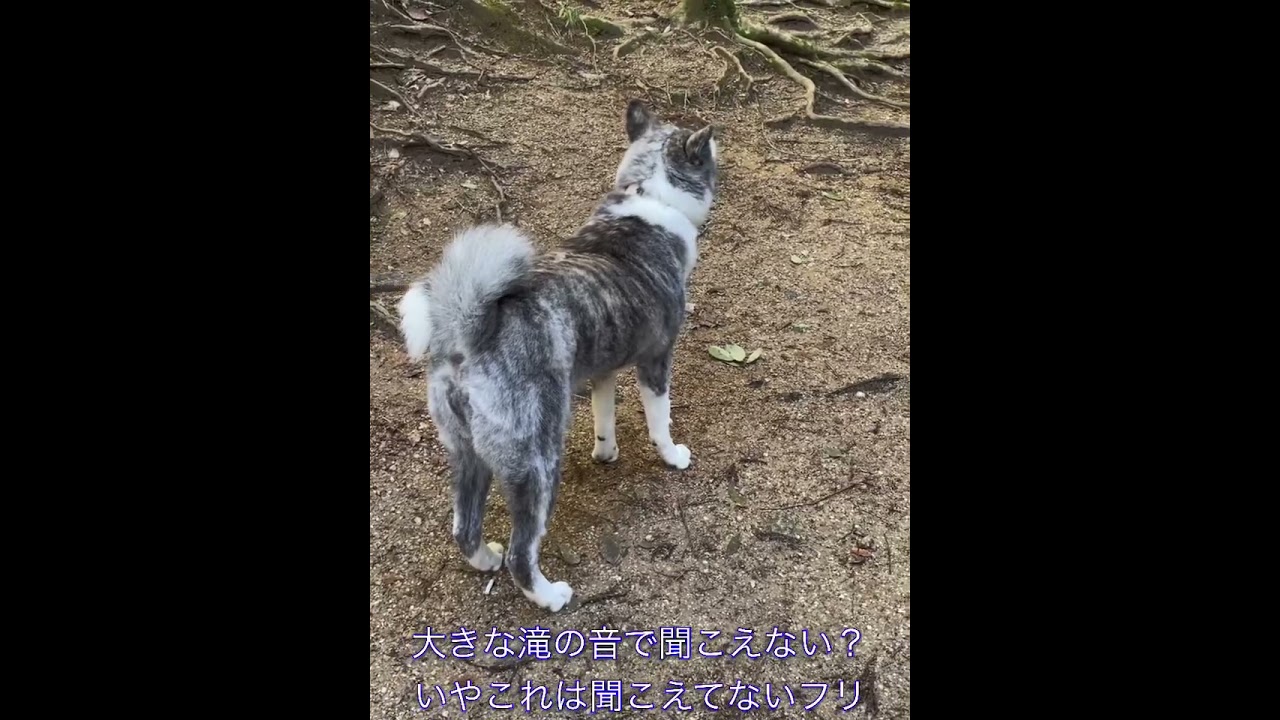 鶏鳴の滝へ