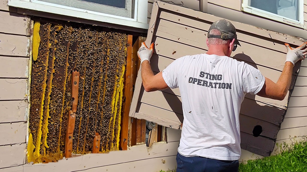 No Bee Suit&hellip; What Could Go Wrong?!