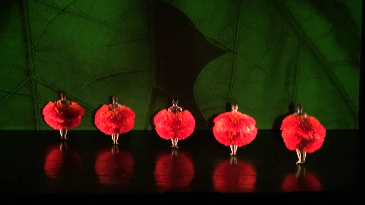 MOMIX: Botanica