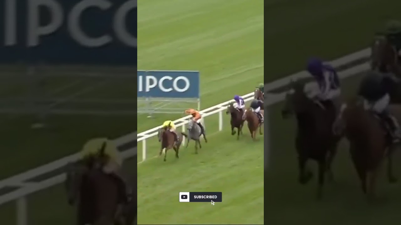 ADDEYBB Wins Qipco Champion Stakes G1 #horselifevd #horseracing #shorts