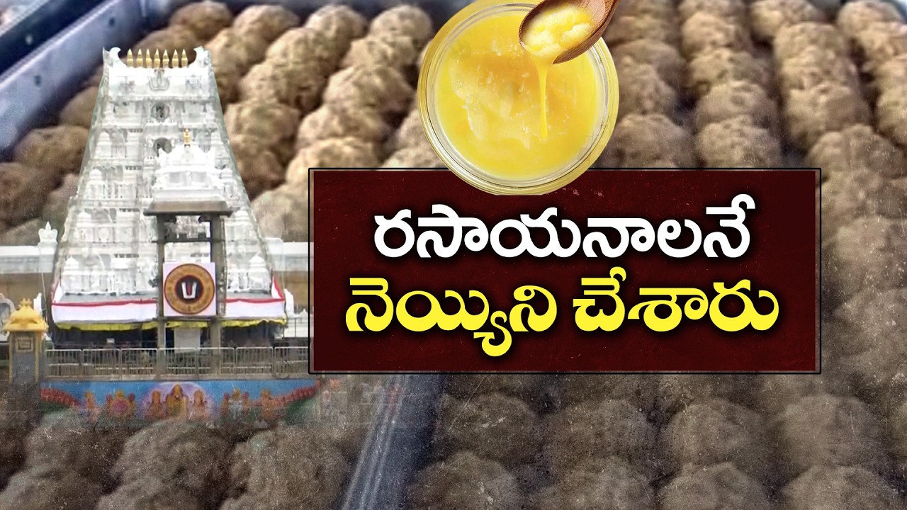 SIT Exposes Bolebaba Dairy Scam in Tirumala Laddu Ghee Case