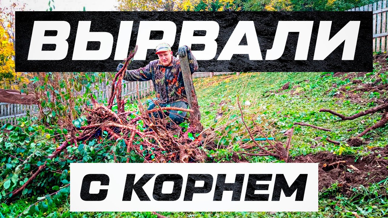 Склон держался только за корни старых деревьев, что теперь будет?