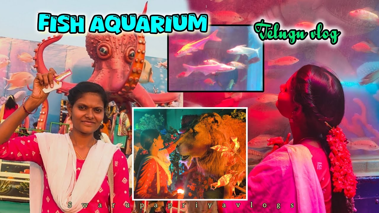 Fish Aquarium 🐬 wonderful experience #viral #fish aquarium #vlog #teluguvlogs @SwarupaPriyavlogs 