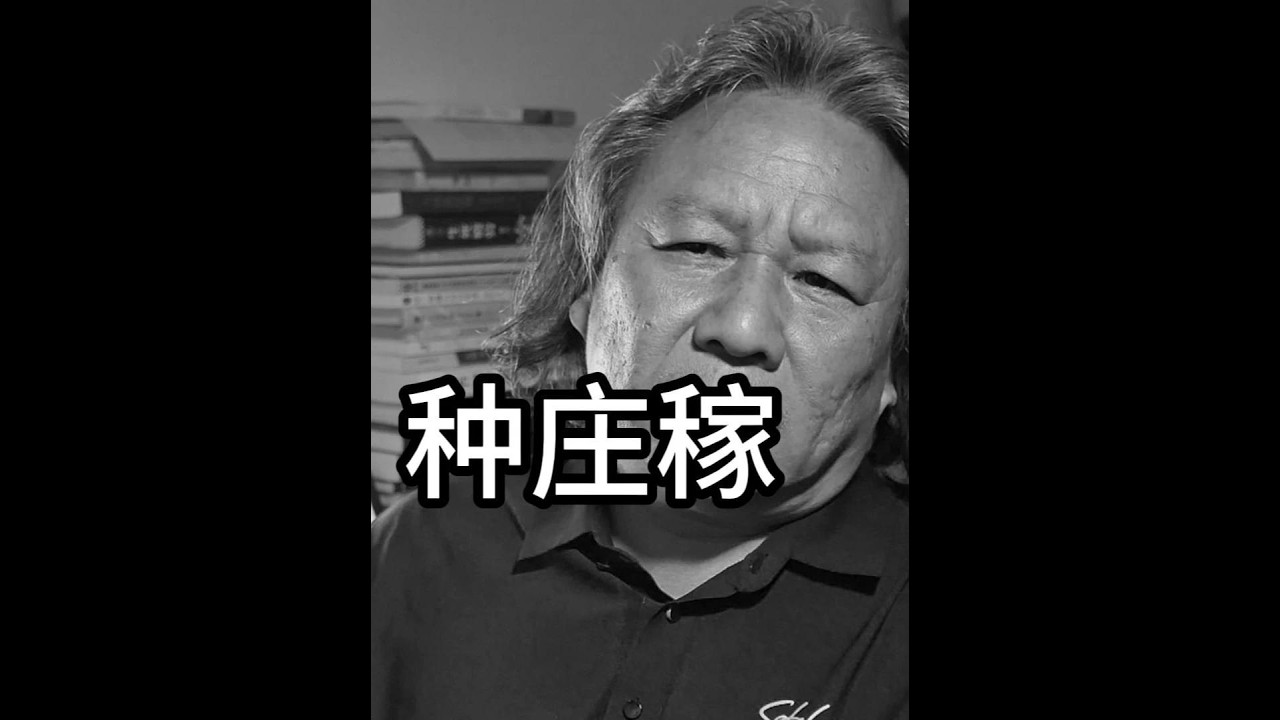 种庄稼的思考#哲学人生 #遇见大元 脱离刺激与干扰，重建心理秩序